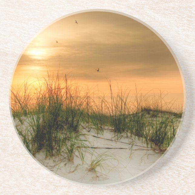 Möwen bei Sonnenaufgang Getränkeuntersetzer (Vorne)