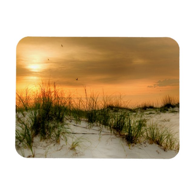 Möwen bei Sonnenaufgang Magnet (Horizontal)