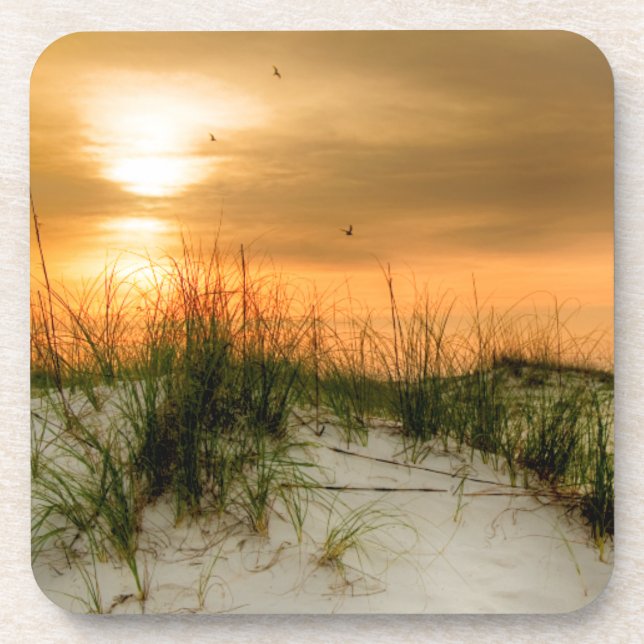 Möwen bei Sonnenaufgang Untersetzer (Vorderseite)