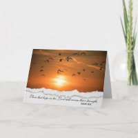 Möwen bei Sunset Sympathy Card