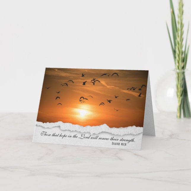 Möwen bei Sunset Sympathy Card Karte (Vorderseite)