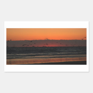 Möwen, die über das Foto des Sonnenaufgangs im Oze Rechteckiger Aufkleber