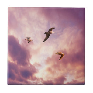 Möwen fliegen in einem Sonnenuntergangshimmel Fliese