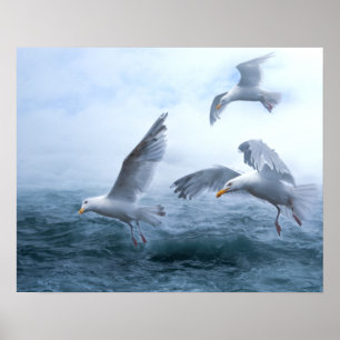 Möwen fliegen über das Meer Poster