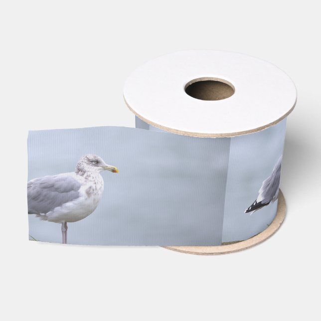 Möwen-Foto-Schleife Ripsband (Spule)