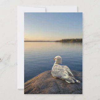 Möwen-Fotokarte, Geschenk zur Küsten-Natur, Innen Dankeskarte