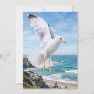 Möwen-Fotokarte, Geschenk zur Küsten-Natur, Innen Dankeskarte