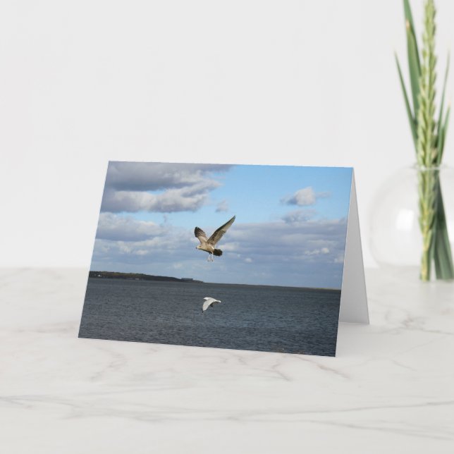 Möwen im Flug Karte (Vorderseite)