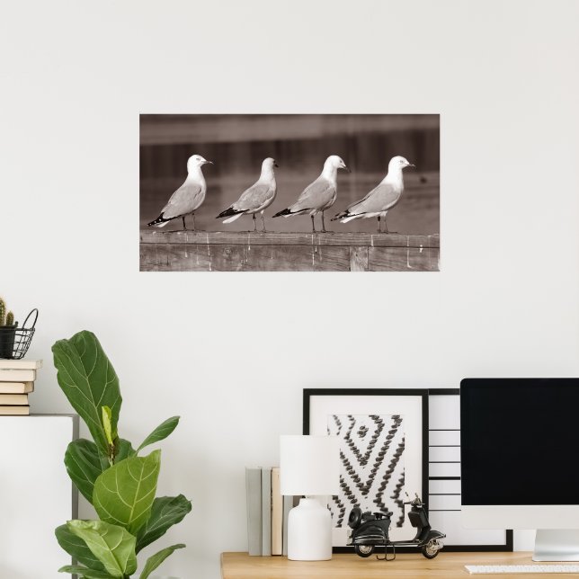 Möwen in Reihe Poster (Heimbüro)