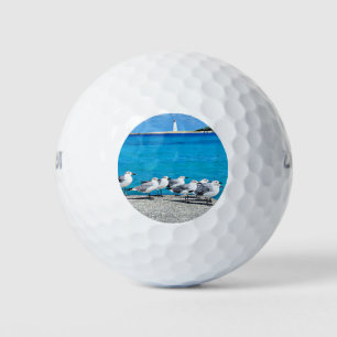 Möwen, Sandstrand, Nassau, Bahamas Golfball