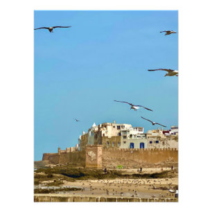 Möwen und die Stadt. - Essaouira, Marokko Fotodruck
