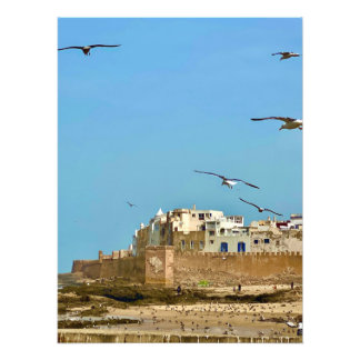 Möwen und die Stadt. - Essaouira, Marokko Fotodruck