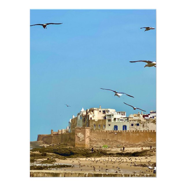Möwen und die Stadt. - Essaouira, Marokko Fotodruck (Vorne)