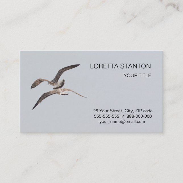 Möwen Visitenkarte (Vorderseite)