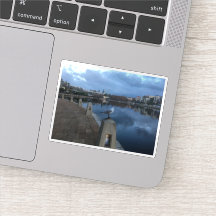 Möwenfoto