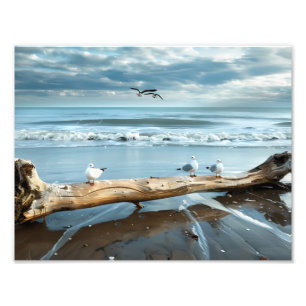 Möwenstrand Foto Druck