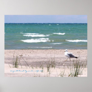 Möwenstrand-Wasserfarbdruck Poster