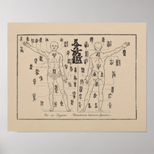 Moxa Punkte in japanischer Akupunktur Moxibustion Poster