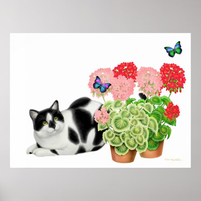 Moxie Cat und die Schmetterlinge drucken Poster (Vorne)