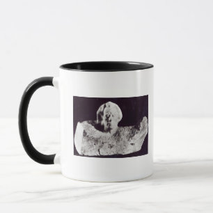 Mozart, 1911 tasse