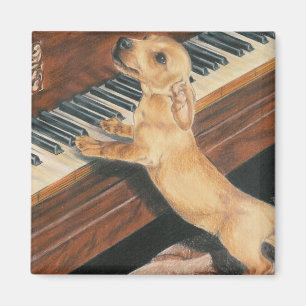 Mozart Lehrling Magnet