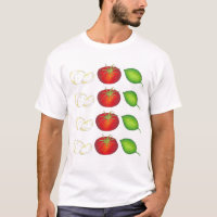 Mozzarella Tomato Basil Italien Kochen Lebensmitte