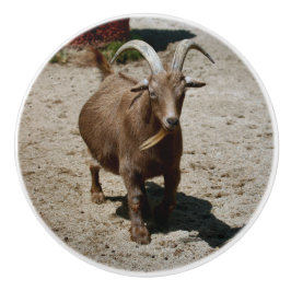 Mr. Bill Keramikknauf