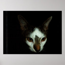 Mr. Bud in Repose Poster