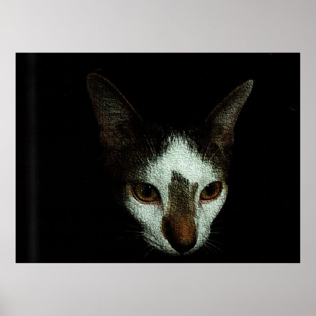 Mr. Bud in Repose Poster (Vorne)