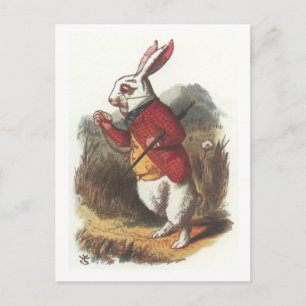 Mr. Rabbit! Postkarte