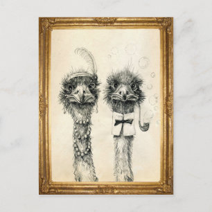Mr. und Mrs. Ostrich gerahmt Postkarte