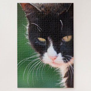 Mr Whiskers - Cat Jigsaw Puzzle - 20x30 - 1014 PC