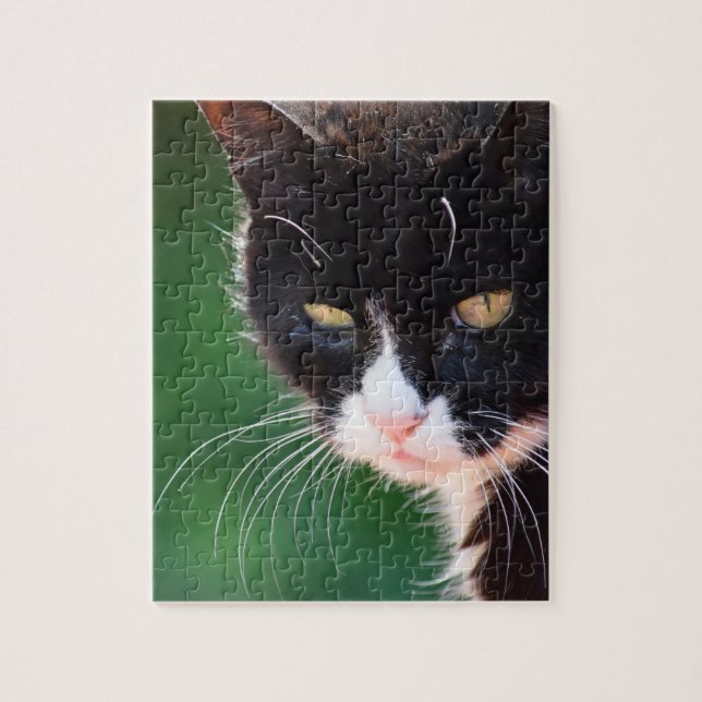 Mr Whiskers - Cat Jigsaw Puzzle - 8x10 - 100 pc (Vertikal)