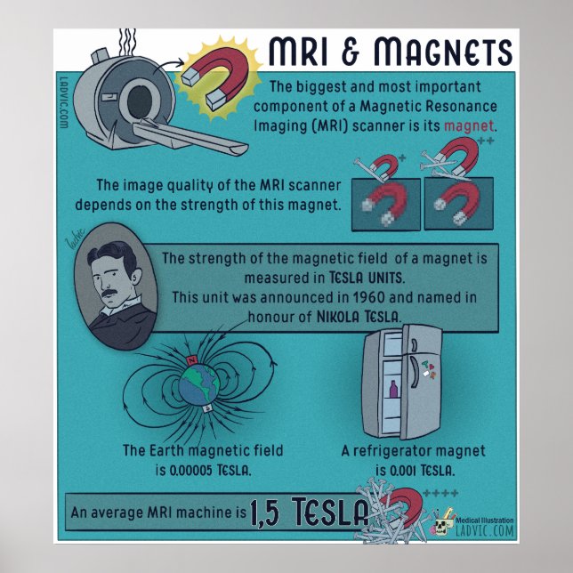 MRI- & Magnetposter Poster (Vorne)