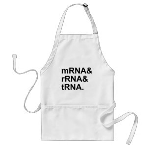 mRNA rRNA tRNA Arten von RNA Schürze