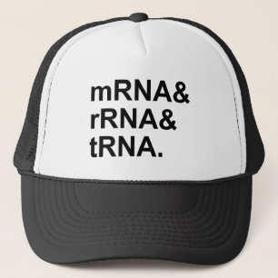 mRNA rRNA tRNA Arten von RNA Truckerkappe