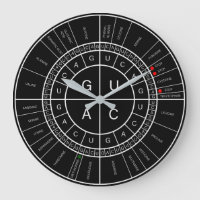 mRNA to AMINO ACID CODON WHEEL