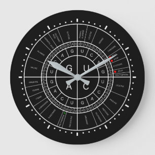 mRNA to AMINO ACID CODON WHEEL Große Wanduhr