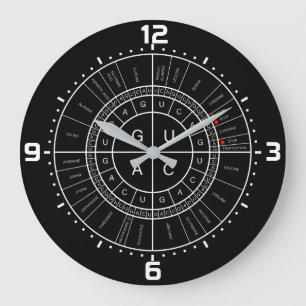 mRNA to AMINO ACID CODON WHEEL Große Wanduhr