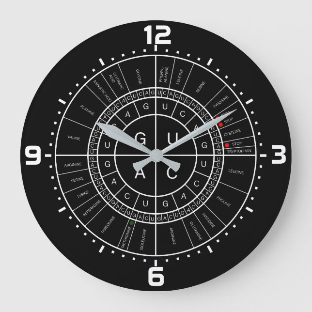 mRNA to AMINO ACID CODON WHEEL Große Wanduhr (Vorderseite)