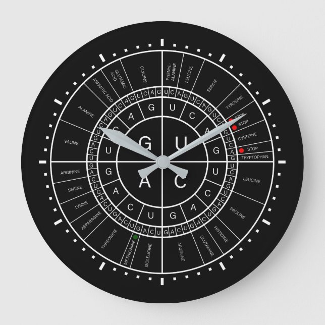 mRNA ZUM AMINOSÄUREcodon-RAD Große Wanduhr (Vorderseite)