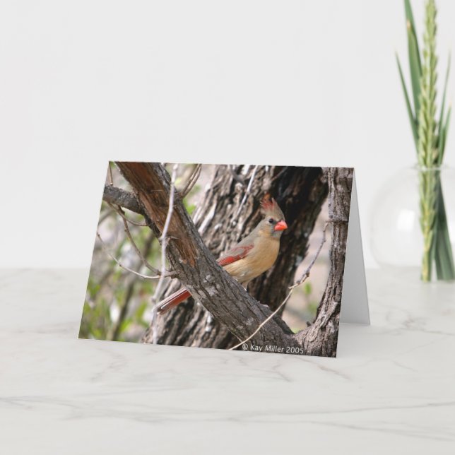 Mrs. Cardinal-2004 Karte (Vorderseite)