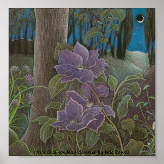 "Mrs. Cholmondeley clematis by Moonlight" Poster