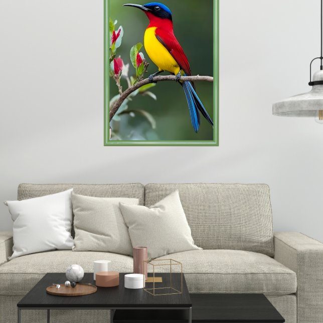 Mrs. Gould's sunbird  Poster (Von Creator hochgeladen)