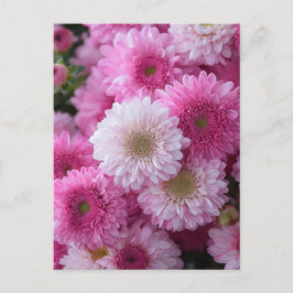 MS Art Design Postkarte