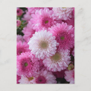 MS Art Design Postkarte