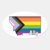 MT Ally Progress Flag