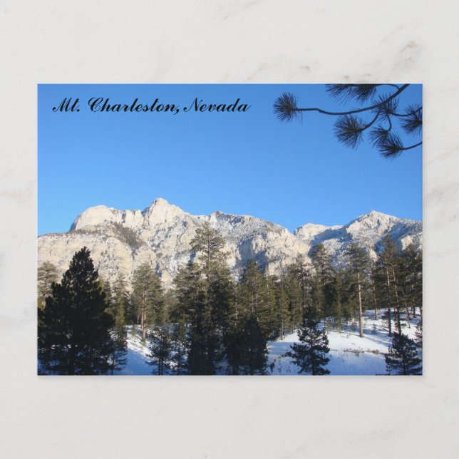 Mt Charleston Postcard Postkarte (Vorderseite)