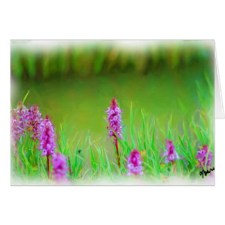 MT EVANS WILDBLUMEN CARD