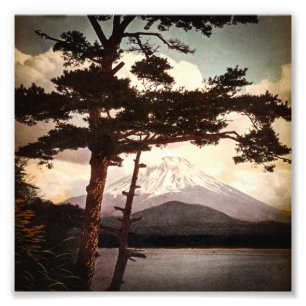 Mt. Fuji durch die Kiefern Vintage Altes Japan Fotodruck